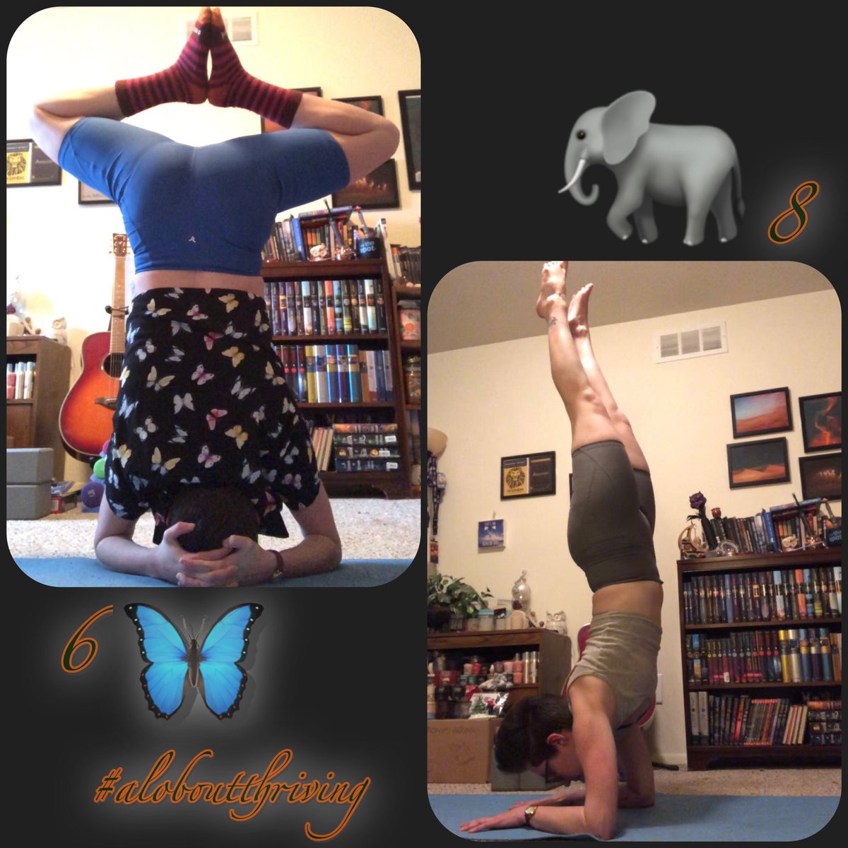 JessIsEloraDrew's tweet photo. That’s the first challenge of 2023 done. 🧘🏻‍♀️

Some technicalities in the emojis here, but the full set of all the stuff that clears it up lives on that other picturey platform I use. https://t.co/xSxWh9JWXX