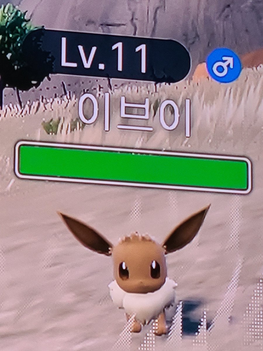 이브이 나왔다 아싸