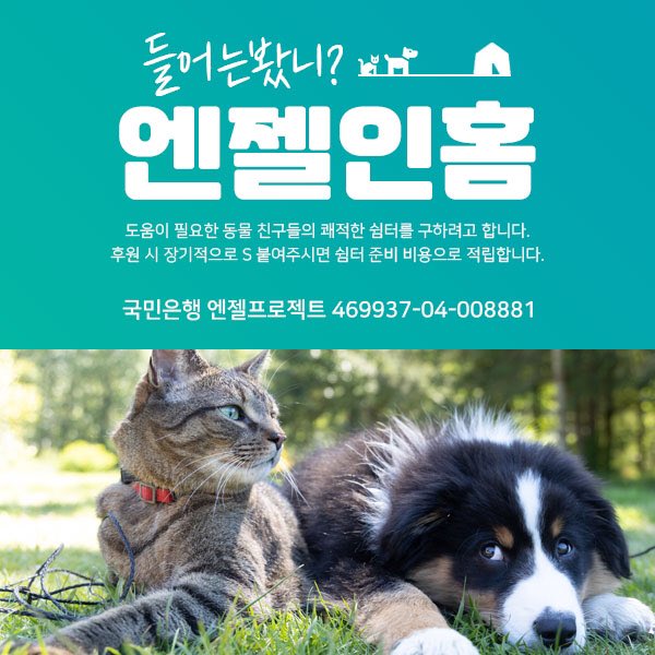 Hyeyounkim3's tweet photo. 엔젤도 이젠. 아이들이 늘어남에 준비시작해요 
함께 해주심 감사합니다 https://t.co/rs4SXtuLvl