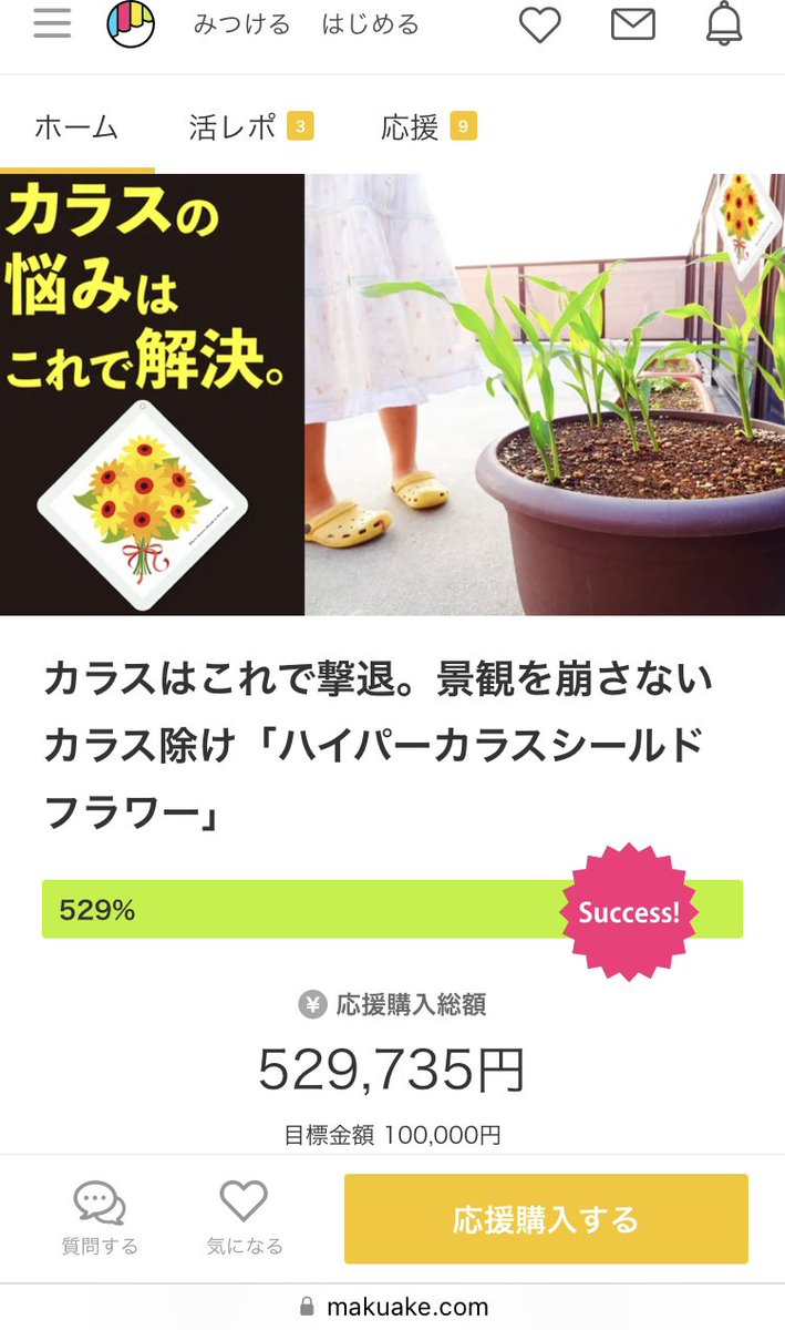 hp_karasu's tweet photo. 本日公開のMakuakeで、当初目標にしていた金額を大幅に上回る応援購入をいただきました😭
暖かい応援メッセージ、商品到着を楽しみにしてくださってる皆様、本当に有難うございます。
完売商品もありますが、在庫があるタイプもございますので、お時間ある時に是非ご覧ください！
#カラス対策 #カラス https://t.co/UPxhy5On8m