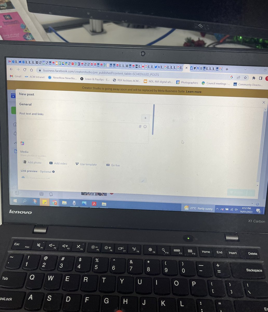 Tess Kelly tweet media