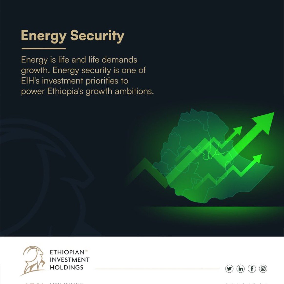 Ethiopian Investment Holdings tweet media