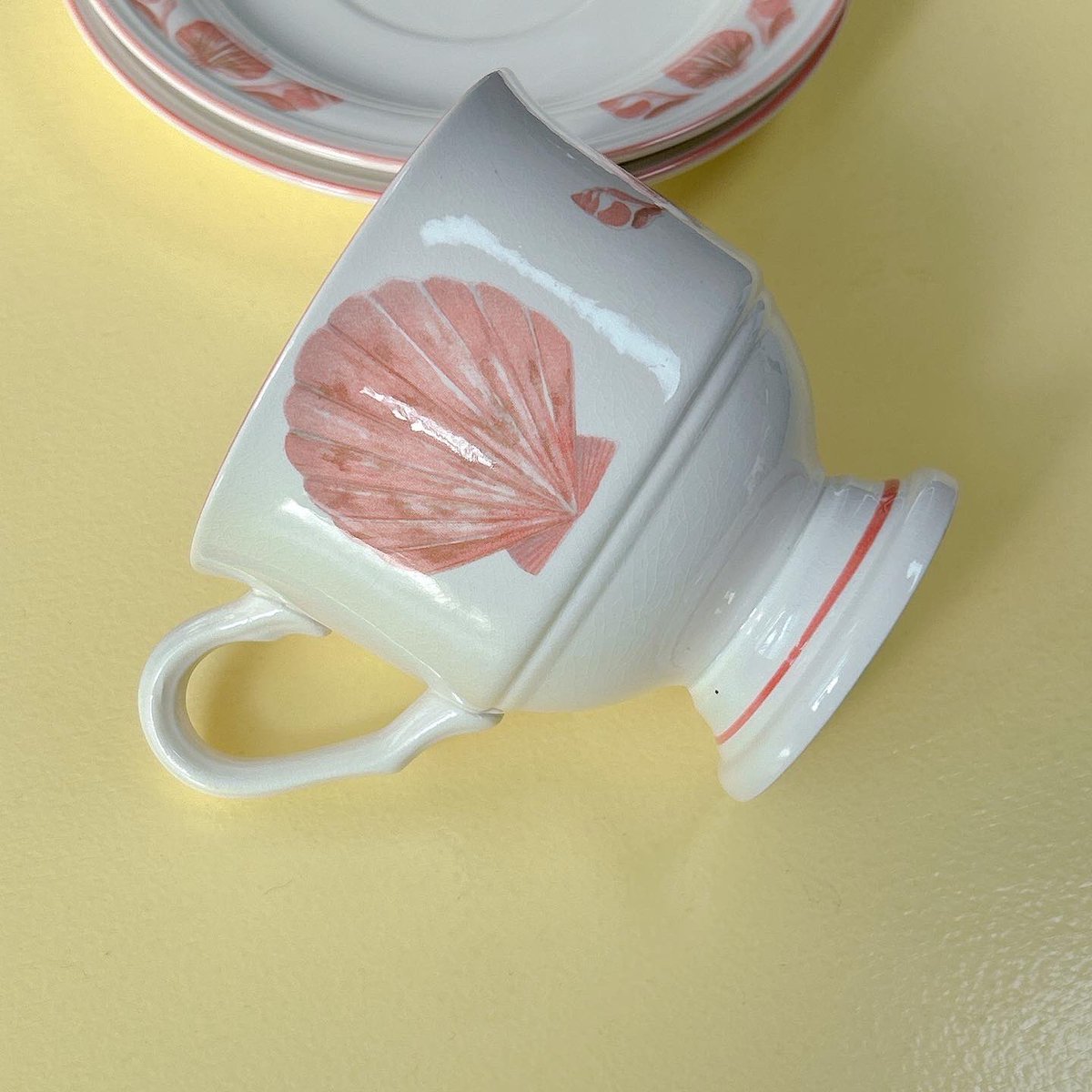 jogabishop's tweet photo. 아름다운 조가비 소서 세트입니다
4조 입고 되었습니다 🐚
.
구매 및 문의는 디엠으로 해 주세요 https://t.co/CoQfihLcvo