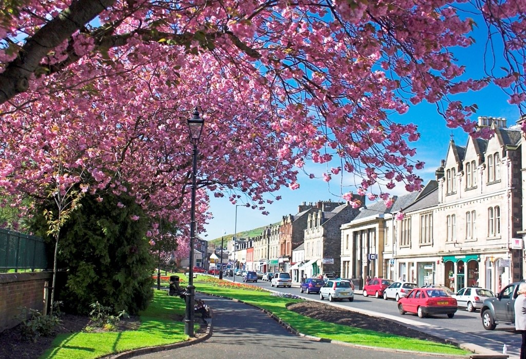 Scottish_Banner's tweet photo. In the January edition of the #ScottishBanner:
The happiest areas to live in Scotland announced
The #ScottishBorders town #Galashiels awarded top spot in #Scotland
Issue out now!
https://t.co/8hW2G950mD
#TheBanner #LoveScotland #BestWeeCountry #VisitScottishBorders #ScotlandIsNow https://t.co/dVckQXELO6