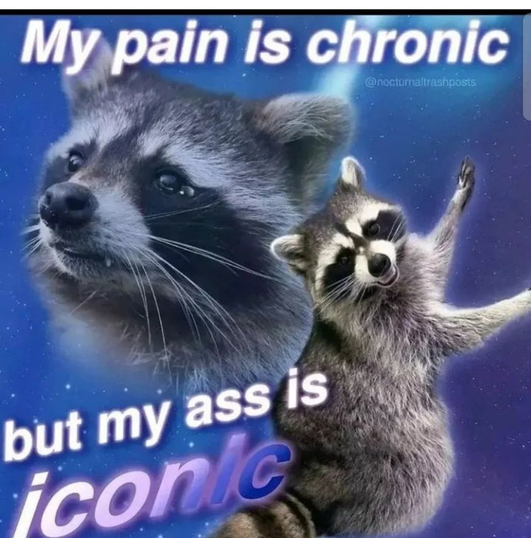 backhanderer's tweet photo. male tennis players as unhinged raccoon memes, a thread:

Rafael Nadal https://t.co/1Tx5aLOl1D