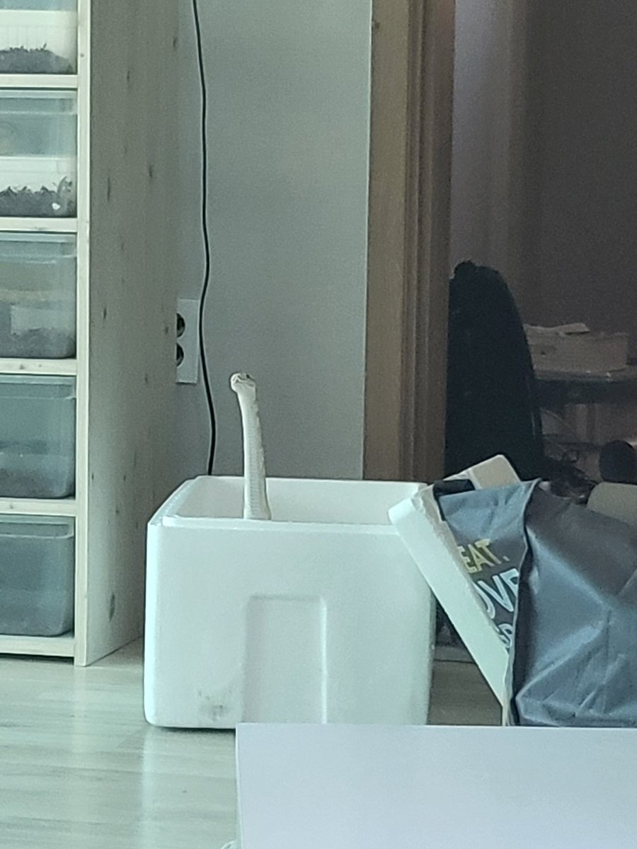 이사..끝났나?(기웃기웃