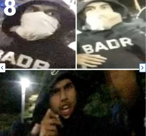 Defence360 on Twitter: "MUSLIMS will be exposed PAN WORLD"