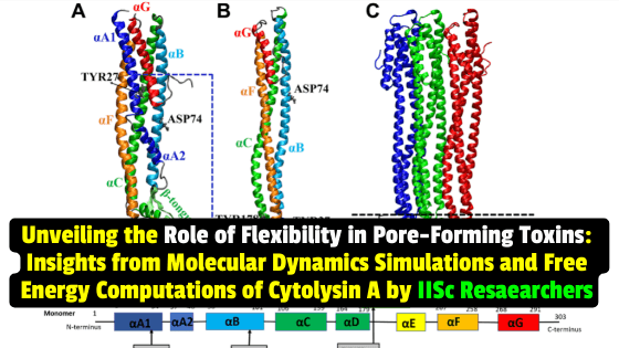 Study from IISC India Reveals Role of Flexibility in Pore-Forming Toxins