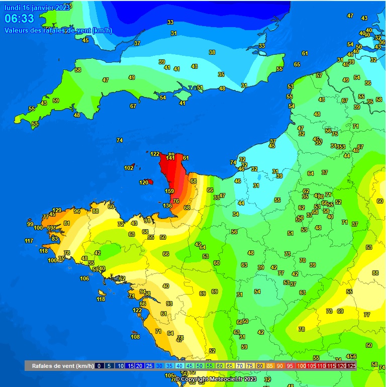 Martial Defoy #MSGU tweet media