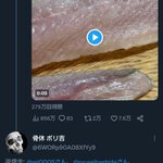 アニサキス注意喚起についてのリプライが面白すぎる。だから何だよ。
