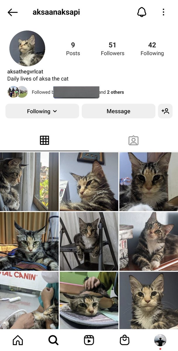 KochengFess v2 tweet media