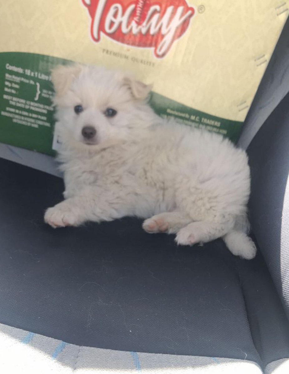 momo’s sun slapped