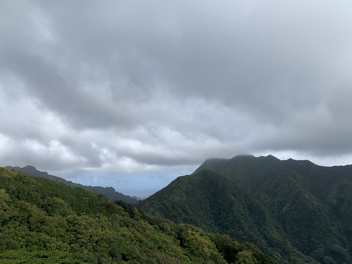 vacillates's tweet image. 🎴