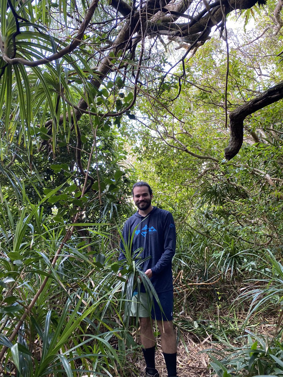 vacillates's tweet image. 🎴