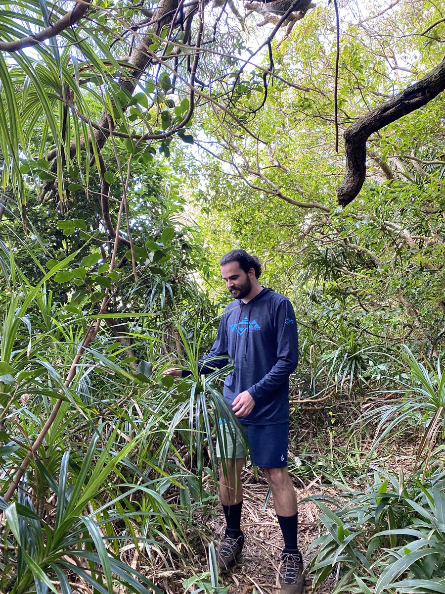 vacillates's tweet image. 🎴