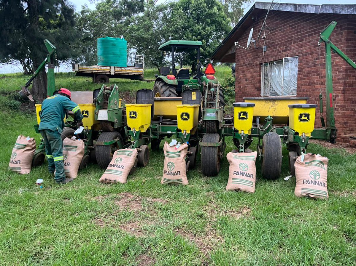 new_shana's tweet photo. Final planting for the year 2022-2023 season - Red speckled Sugar beans 🥰🫶🏻

It’s a new commodity in our grain production… A trial of 7,5ha 🫶🏻 hope it works out! 

S/O to @kzndard for the assistance with the land prep and planting 🙏🏼 #FarmingWithShana #FarmingIndaba https://t.co/oGfQnPcIWr