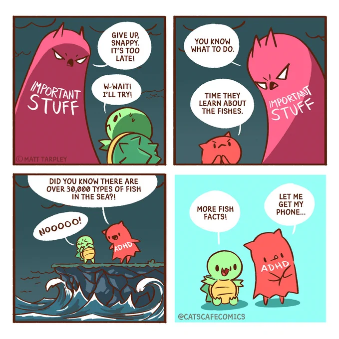 Important Stuff 🐢 