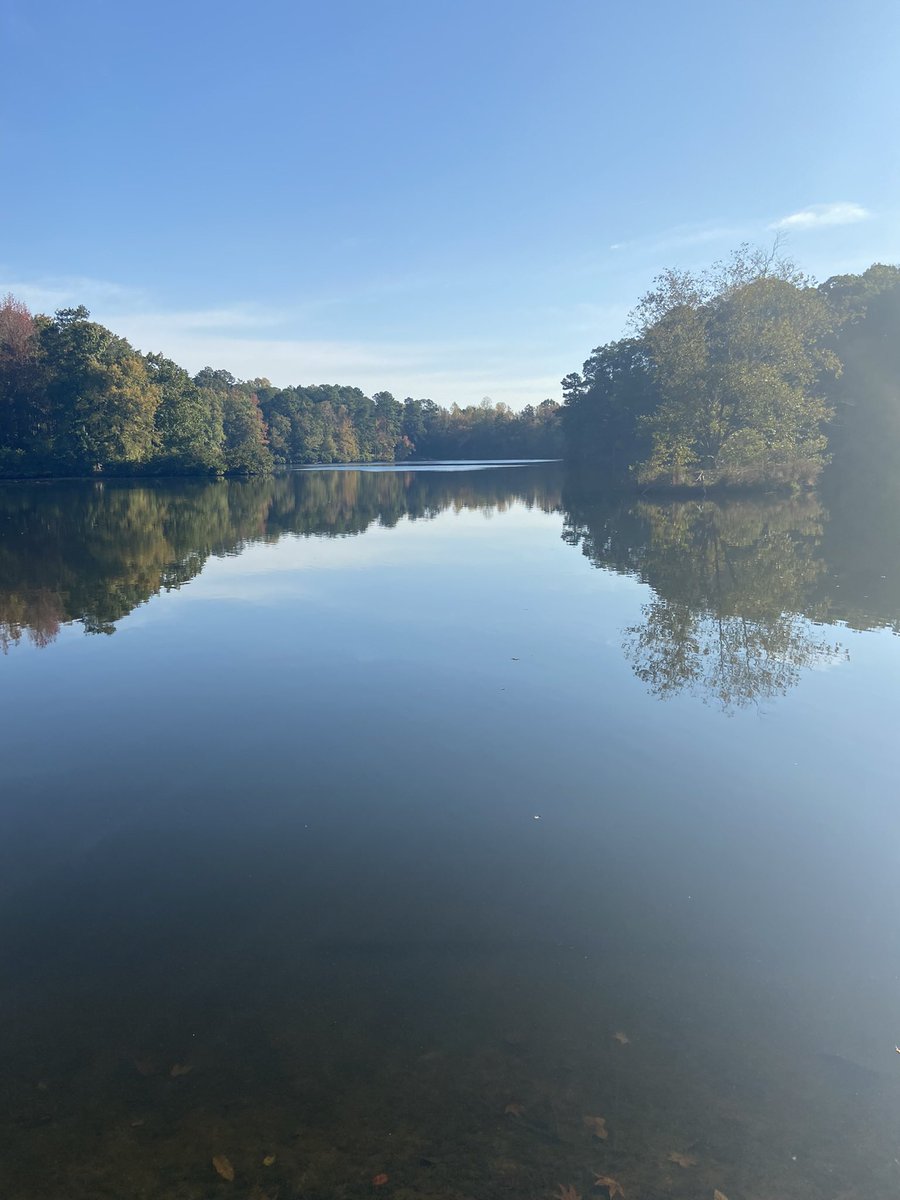 Jon Hopkins/F3 Stang tweet media