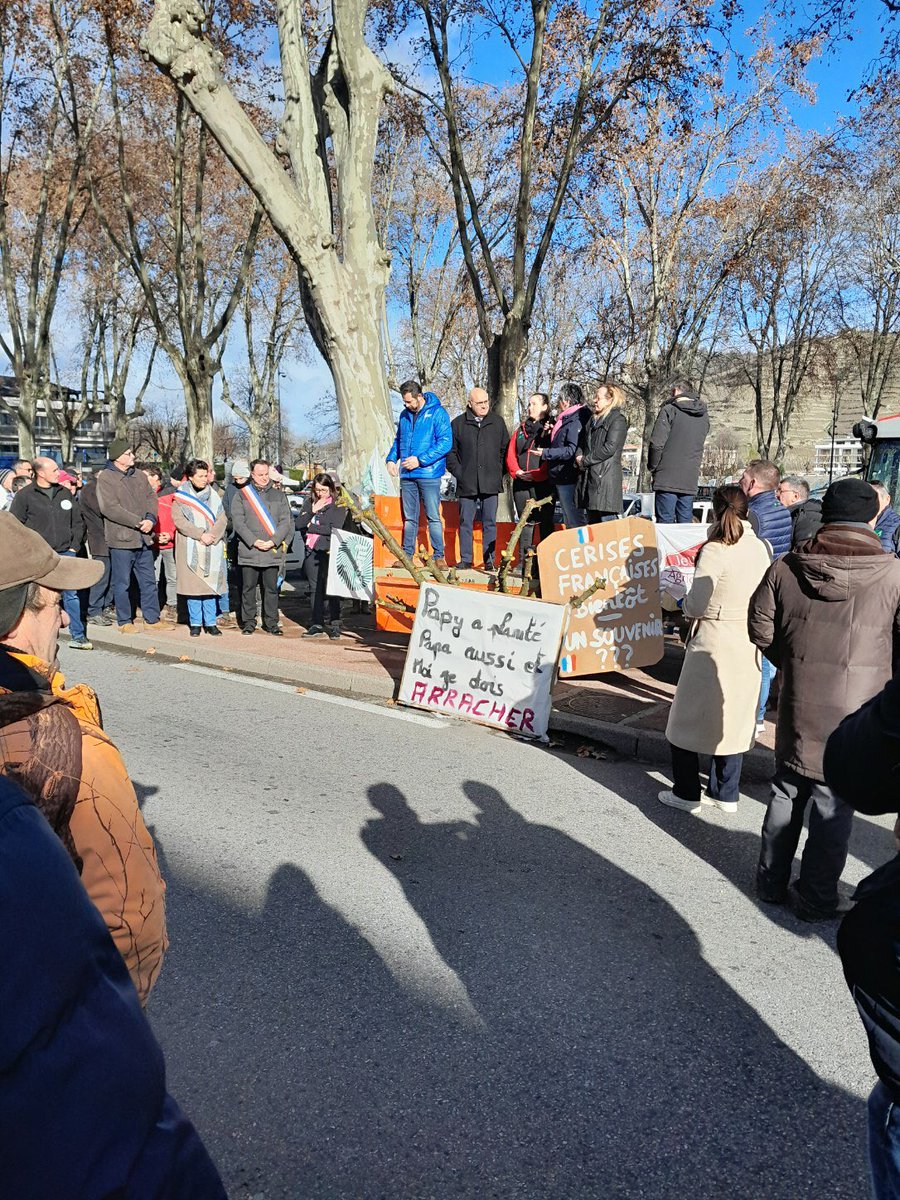 FNPFruits's tweet photo. Alors que l’Etat les abandonne, les producteurs de cerises crient aujourd’hui leur colère. C’est tout une culture qui disparaît par manque de courage politique @MFesneau @ChristopheBechu @FNSEA @ChLambert_FNSEA @Fdsea07 https://t.co/pQEqCROq4M