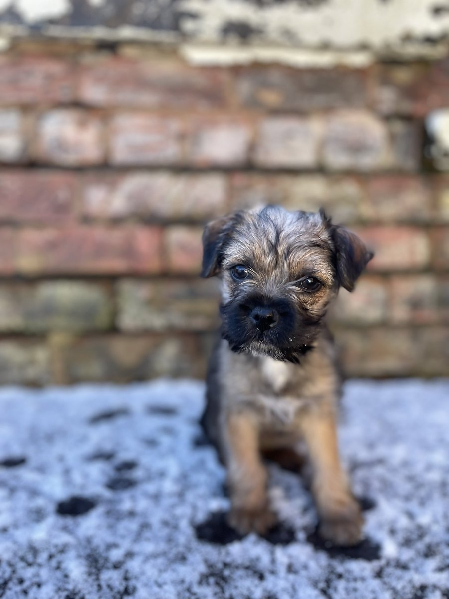 It’s a cold one pals!