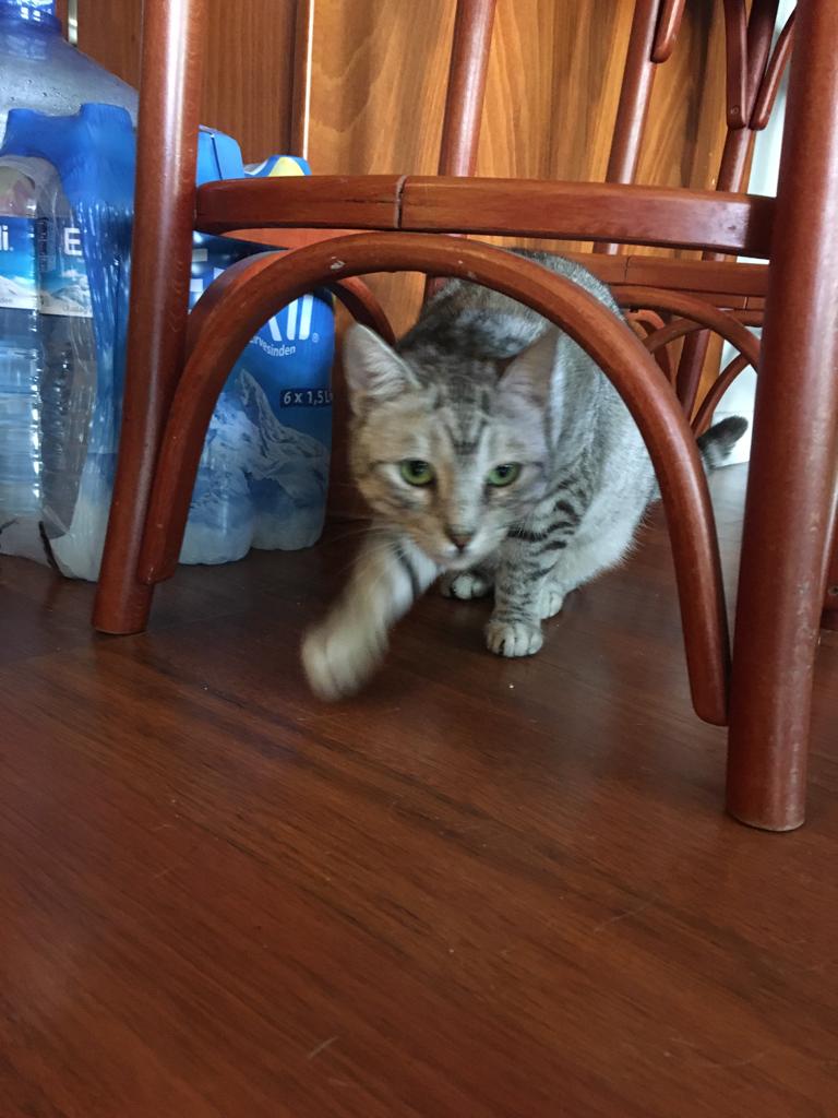 I am not in danger I am the danger