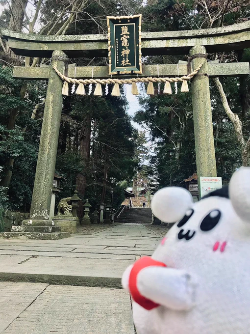 ようやく初詣に行けました〜!宮城県塩竈市の鹽竈(しおがま)神社、何気に行くの初めて。海に面した高台にある広くて美しい立派な神社でした4枚目は境内のきけん地帯に棲む(?)ん 猫ちゃん猫ちゃん!!#おむすたー  