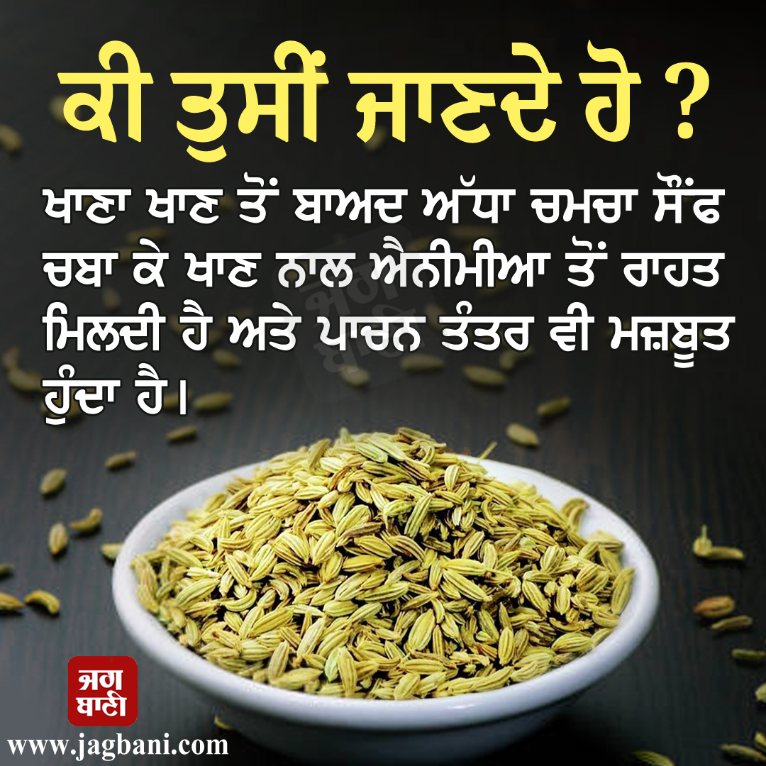 JagbaniOnline's tweet image. ਕੀ ਤੁਸੀਂ ਜਾਣਦੇ ਹੋ?

#healthtip #healthproblem #anemia #healthcare #homeremedies #fennel #fennelbenefits