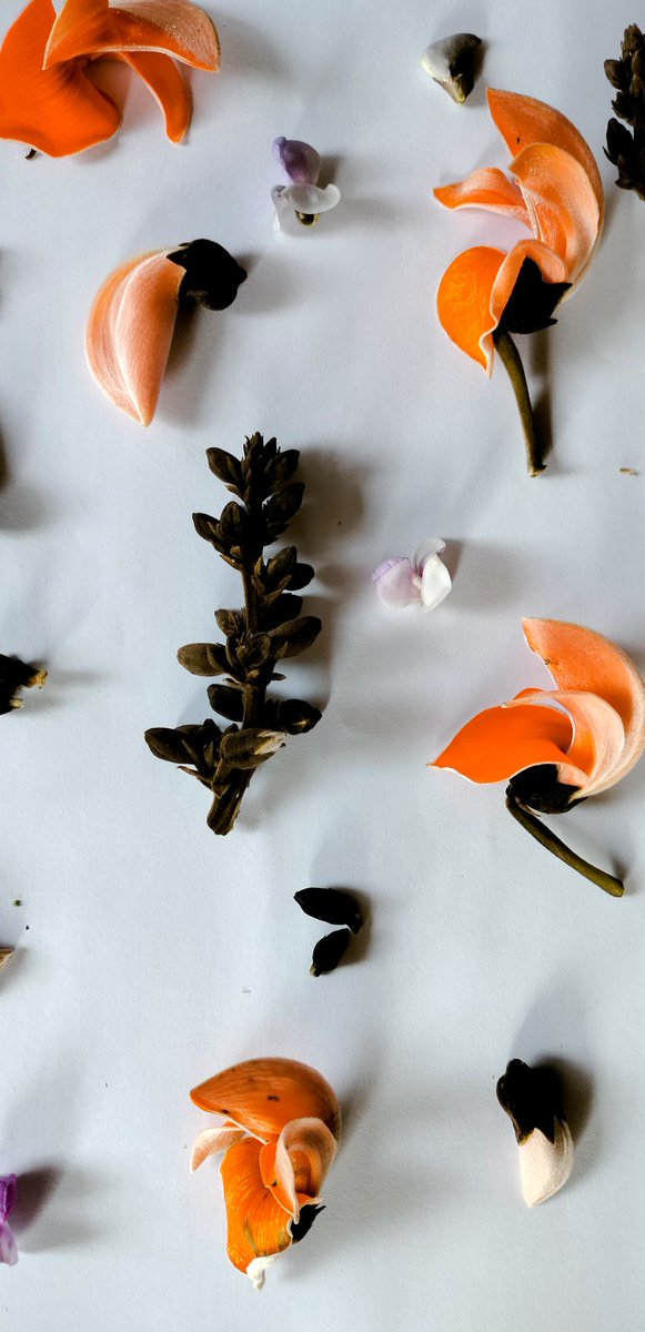 Beautiful art can only truly be admired by feelings not eyes.
AESTHETIC WALLPAPER☘️