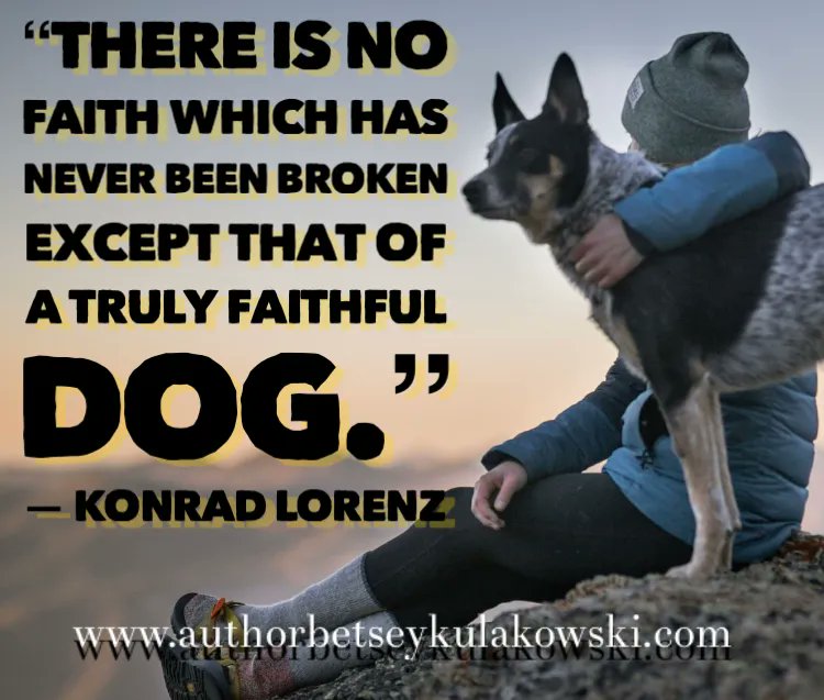 AuthorBetseyK's tweet photo. How sad our existence would be with out the #unconditional #love of our fur-friends. This week we #celebrate our four-legged #companions. It’s #DogWeek here on my social media. I have a #BostonTerrier. What kind of #furbaby do you have? #dog #goodboi #goodgirl #doggo #pup https://t.co/WCMW9IzdK2