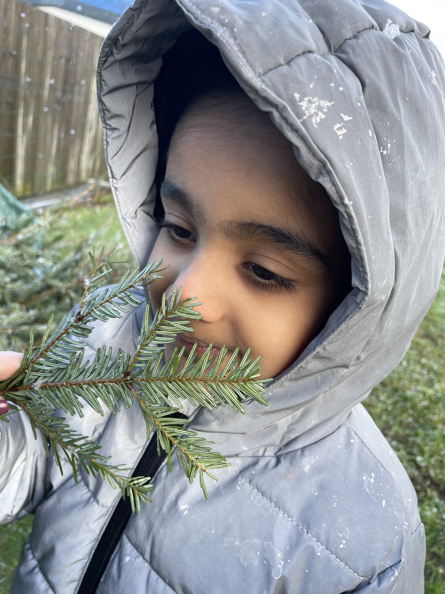 OABroadoak's tweet photo. We looked at the old Christmas Tree and described how it felt and smelt. It felt soft and was wet. #forestschool #eyfs #usingoursenses https://t.co/bCnaLsK5Gt