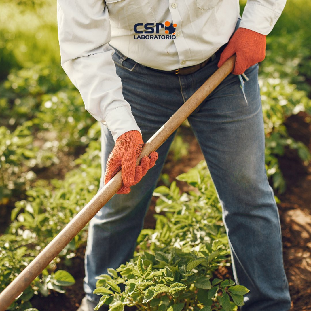 CsrLaboratorio's tweet photo. 🗓👨🏼🌾 Sabéis que en #CSRLaboratorio somos muy de celebrar las fechas señaladas para la #Agricultura, por ello hoy no nos resistimos a celebrar #SanAntón. https://t.co/grqeIu96II