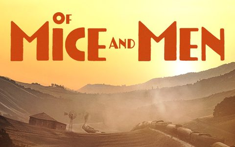 DCH Management tweet media