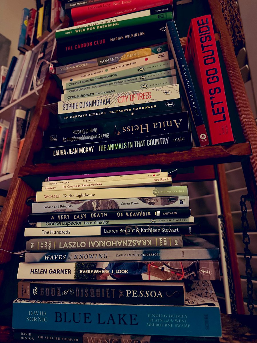 booksontheshelf's tweet photo. Book companions- many read or reread in ‘22’ and some a tad earlier #bookshelves #ladderofreading https://t.co/0dkAyx4wNy