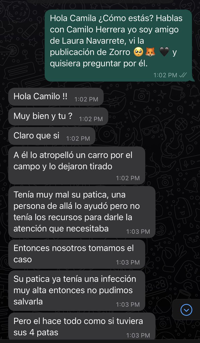 Camilo Herrera tweet media