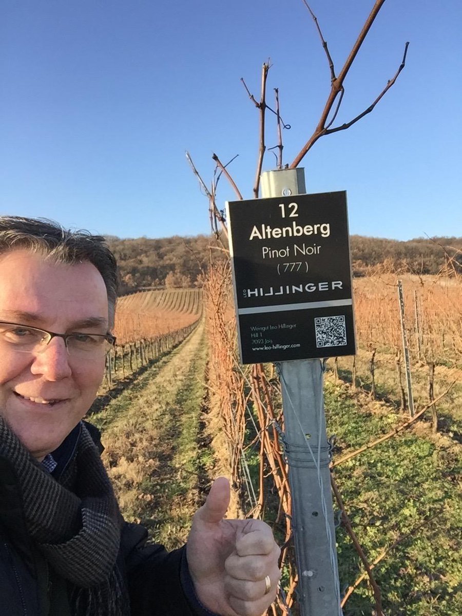 kwittauer's tweet photo. https://t.co/PKqK5xo6v6 #austrianwine #WeinBurgenland #LeoHillinger #kwselection https://t.co/XvNFqjohq0