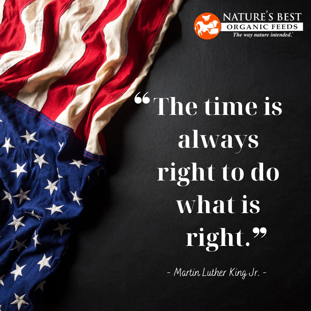 Celebrating the life and work of Dr. Martin Luther King, Jr. today! #Legacy