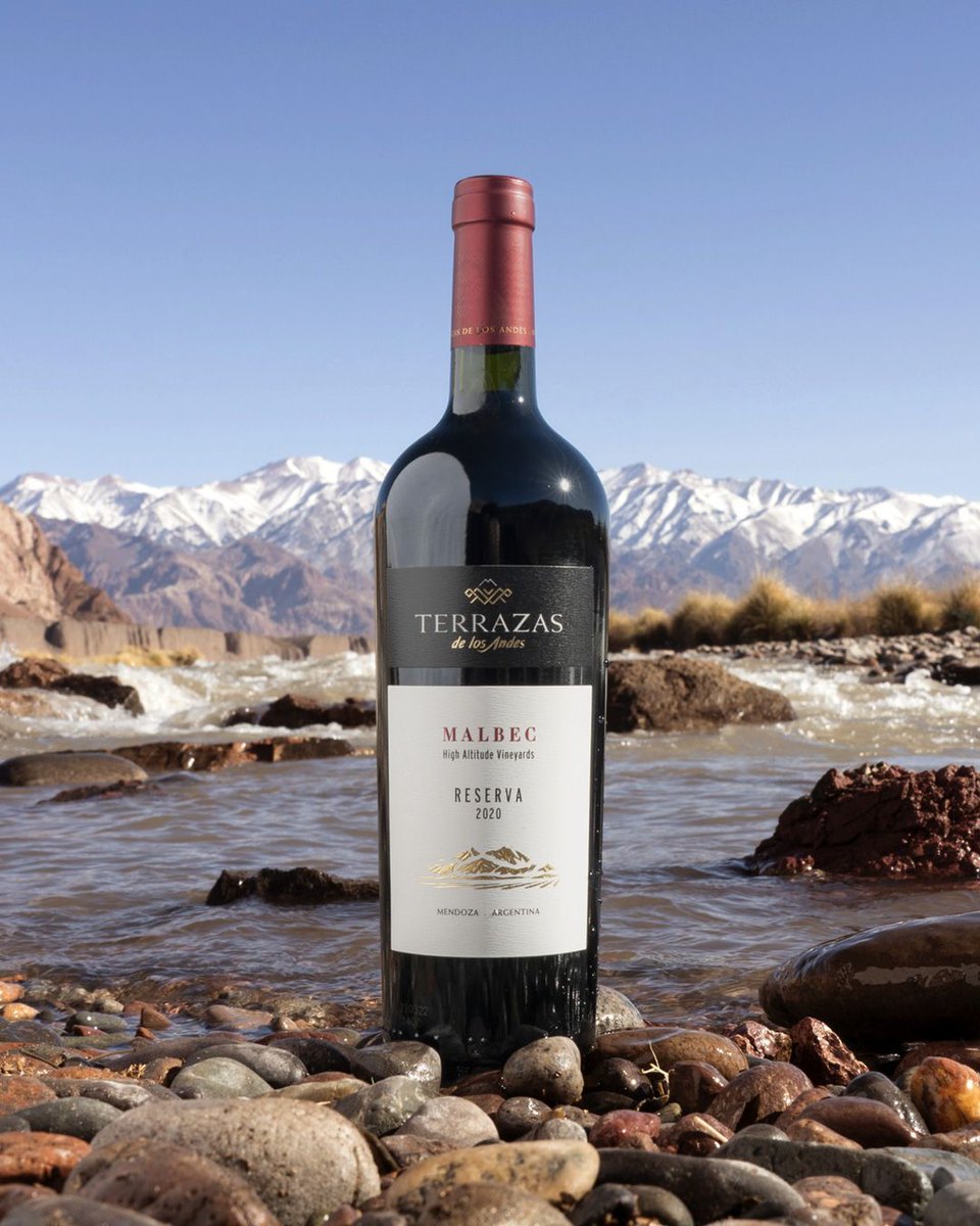 JDicoval's tweet photo. Disfruta de uno de los vinos más emblemáticos de Argentina, un vino de constantes reconocimientos en cada una de sus añadas. Elaborado con uva Malbec, procedente de viñedos situados a más de 1.000 metros de altitud🍷
#TerrazasDeLosAndes #Malbec #Dicoval https://t.co/JerZY9i8xv