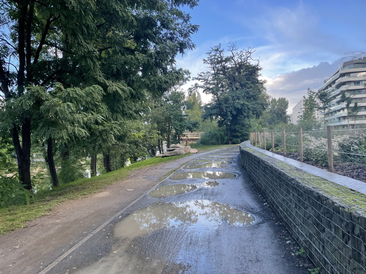 mestemnakole's tweet photo. 🚲💡 Dnes začíná rekonstrukce stezky pro pěší a cyklisty v pražském Karlíně. Mlatový povrch ve špatném stavu na frekventované cyklotrase A2 nahradí asfalt. Dojde k rozšíření na 4 metry a doplnění osvětlení. Jde o 1 km dlouhý úsek, který naváže na budovanou Štvanickou lávku. 🌉 https://t.co/g7vOCCM0ZH