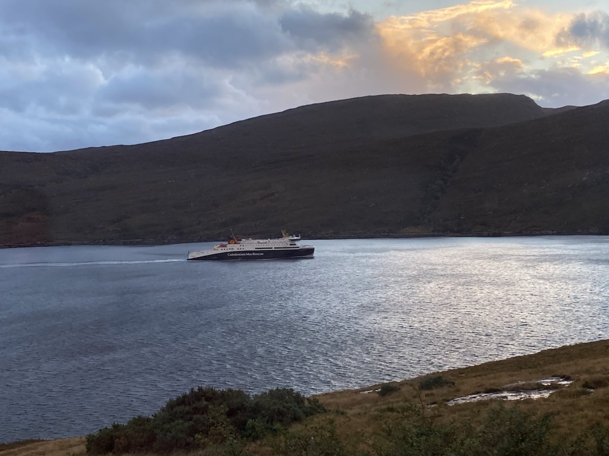 Andrea Xxx tweet media