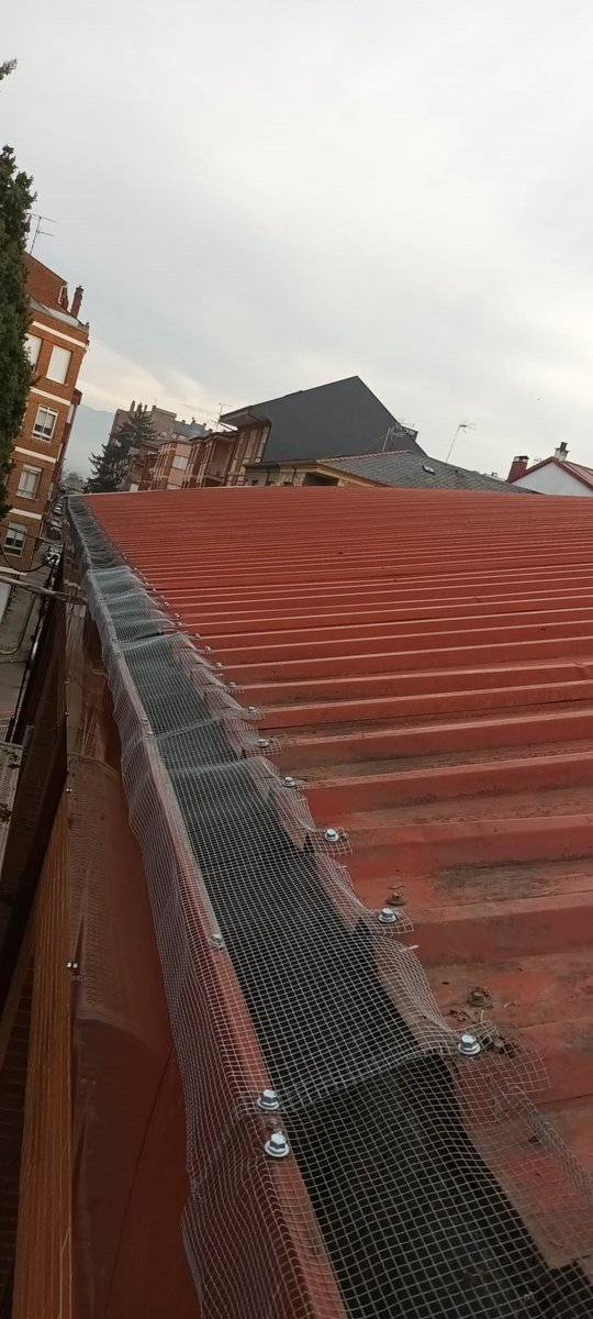 PSOEPonferrada's tweet photo. 🏊🏼‍♂️🔨Ponferrada, a través de la concejalía de deportes, destina más de 16.000€ a reparar la cubierta de las piscinas de la calle Ángel Pestaña.
 
✅Se ha actuado en profundidad para garantizar la impermeabilización de la cubierta.
 
🗓️Plazo de ejecución: 1 mes.

#quererPonferrada https://t.co/Z60nEc8Zlo