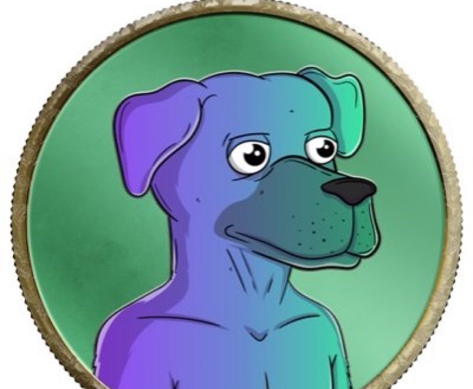 👑 SOL PRINCESS 🛡️ tweet media