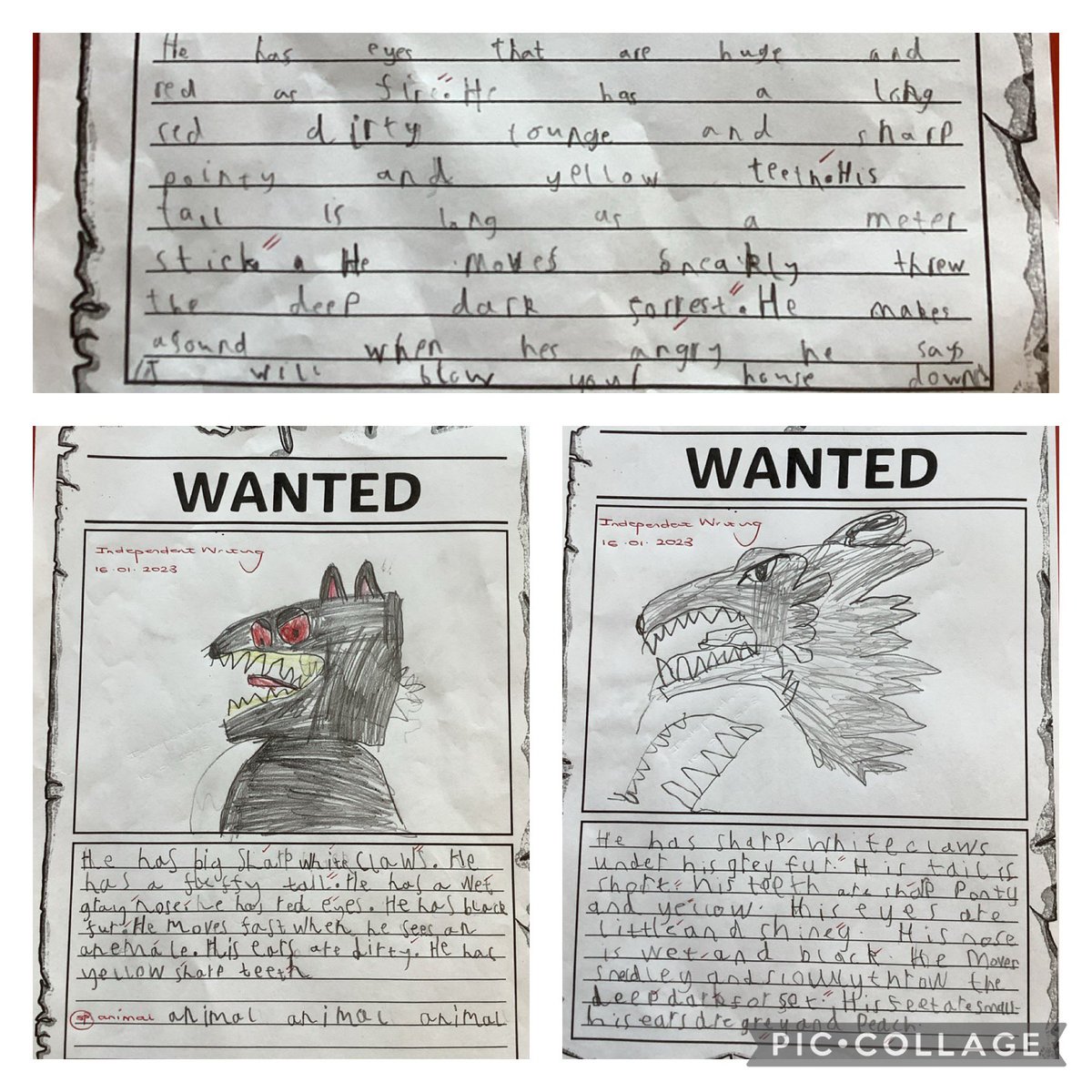 SJLCARDIFF's tweet image. #Year2 have been busy independently creating their own #WANTEDPosters for the big, bad wolf! They have enjoyed using descriptive language! #CreativeContributors #Article28 #TheThreeLittlePigs #FairyTales @CSC_langlitcomm @SchoolReading