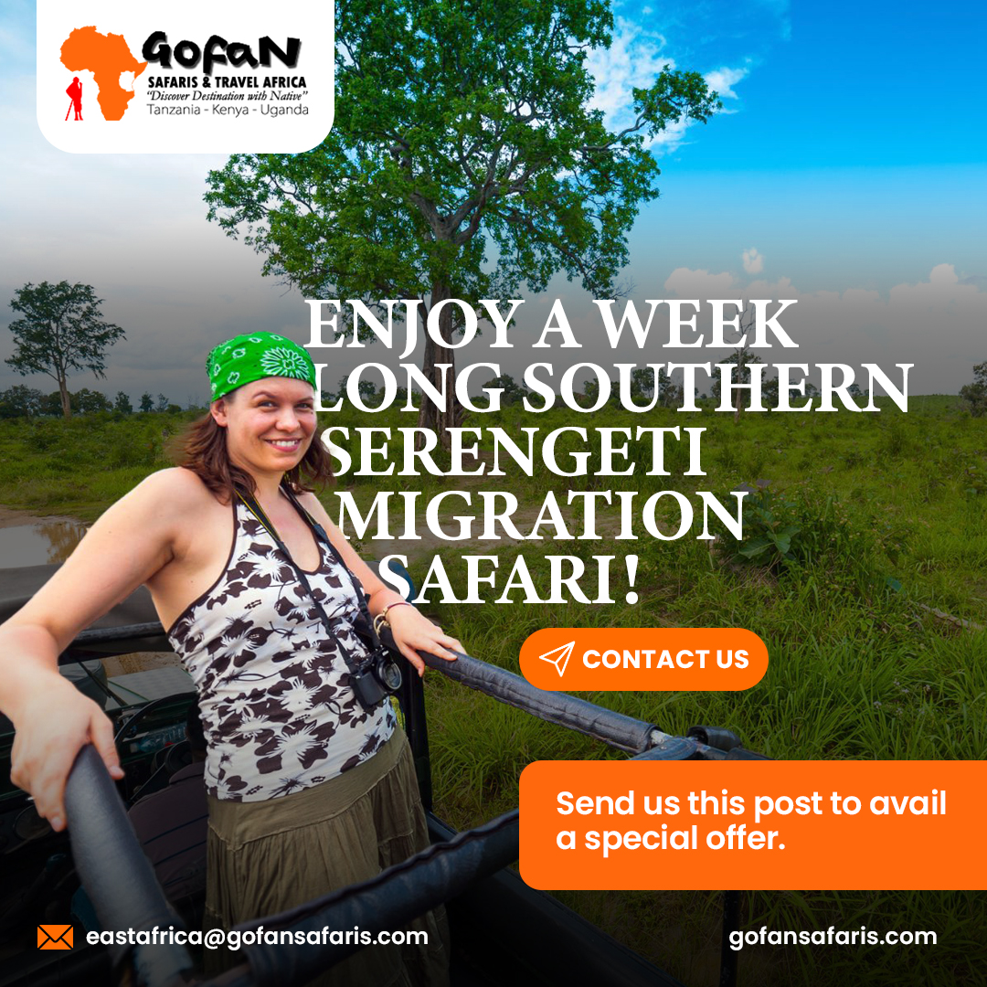 Experience the beauty and wonder of the African wilderness on a week-long Serengeti migration safari.

Join us on a journey through the Serengeti and discover the magic of nature in all its glory

#jeepsafari #serengity #migration #nature #beautiful #eastafrica #travel #tourism