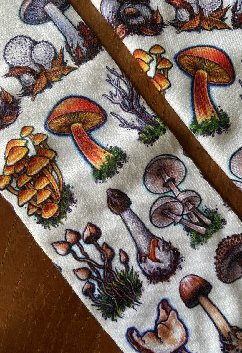 🍄MUSHROOM TUBE SOCKS🍄 

Buy 'em here: bernoid.com/product/devon-… #fungi #mushroomsocks #socks #mushrooms #DevonMushrooms #Devon #art