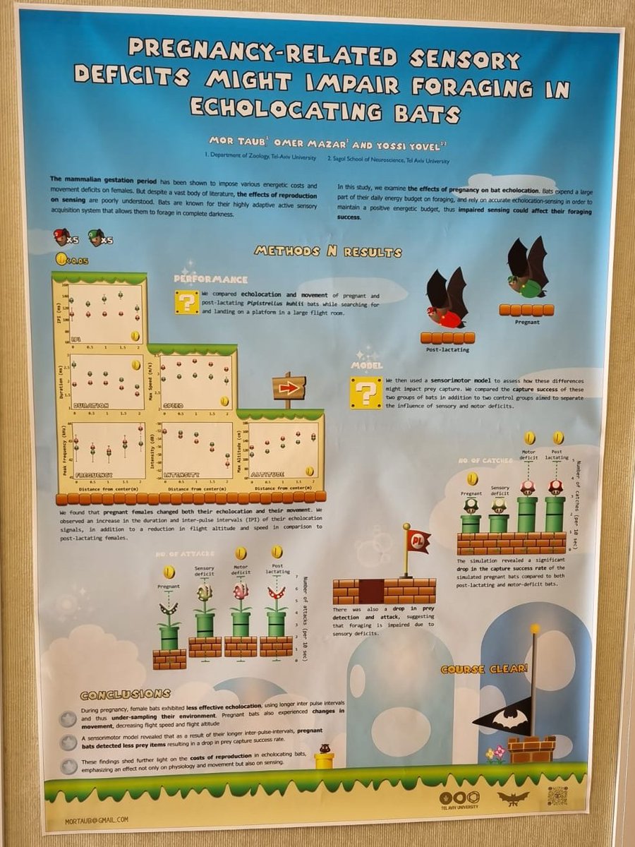 YovelBatLab's tweet photo. Pregnancy impairs echolocation- The Mario version
By Mor Taub
#ActiveSensing #bats
https://t.co/JDjMiMA42w https://t.co/fXNhrYMfEw