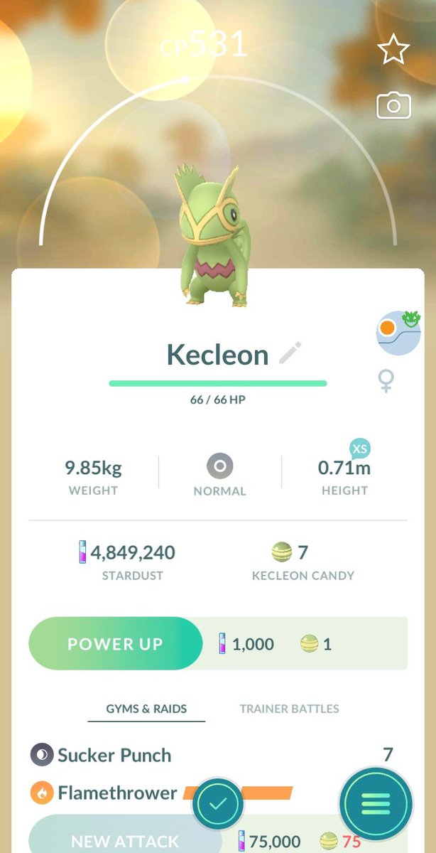 Dachril_L's tweet photo. Finally I found you. 

#pokemongo
#pokemongosabah 
#groundplayer 
#kecleon https://t.co/znGPQFyiEk