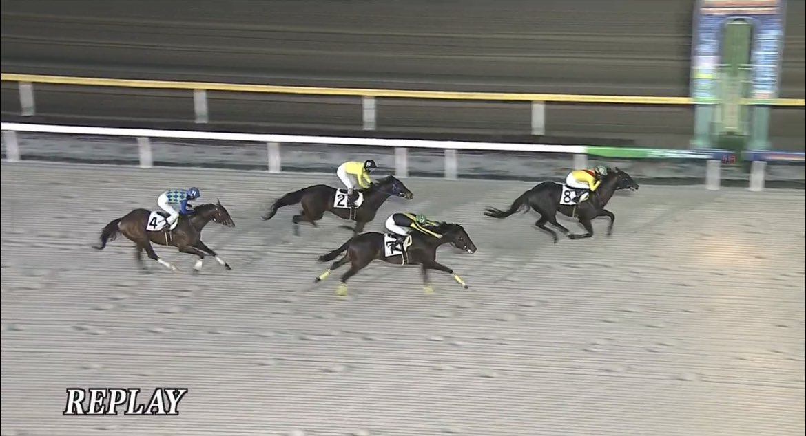 船橋7r
◎インゲニウム (4.2倍)
◯フェアリーランド (2.2倍)
△フィーリウスワン(8.3倍)4着
◎◯ナイス👏
休み明けが席開けてくれなきゃカチカチ🗻
note購入し的中された方おめでとうございます🎊
※無料欲しい方はいいね!!🙋🏻♀️
#船橋8r #帯広11r