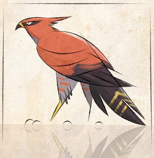 Talonflame (2013) 