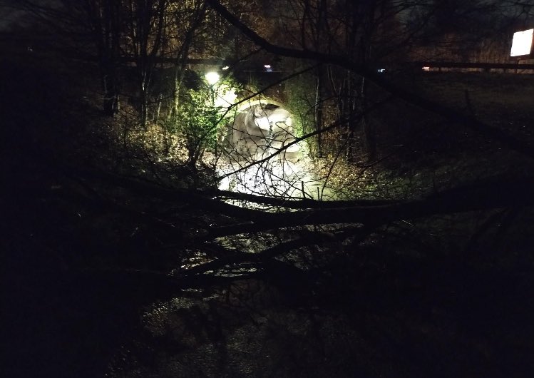 jipegsr's tweet photo. @villedemassy bonjour 
 Un arbre est couché entre MASSY et verrière juste avant le petit tunnel sur la coulée verte, à qui devons nous faire passer l’information ? https://t.co/uCOqKtOuOF
