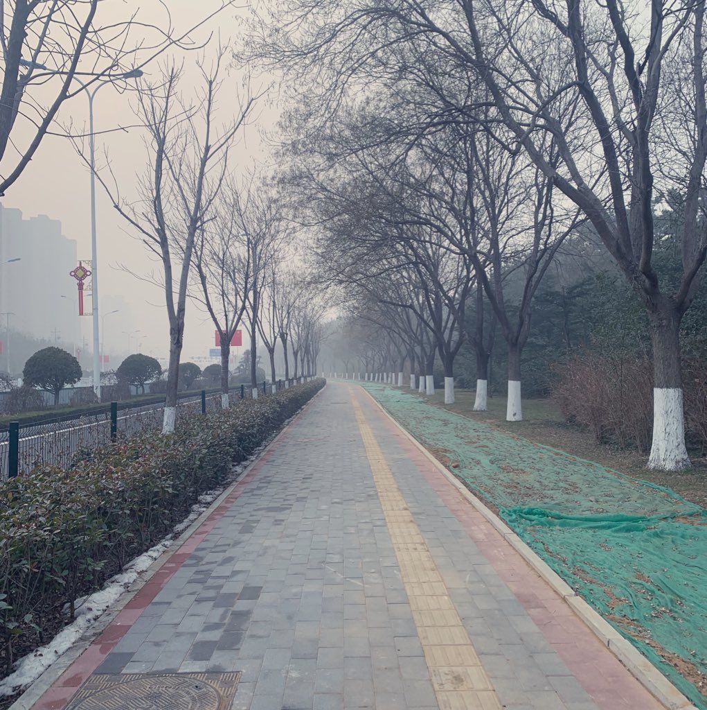 yourdevbabe's tweet image. silent hill vibe Monday GM to absolutely everyone